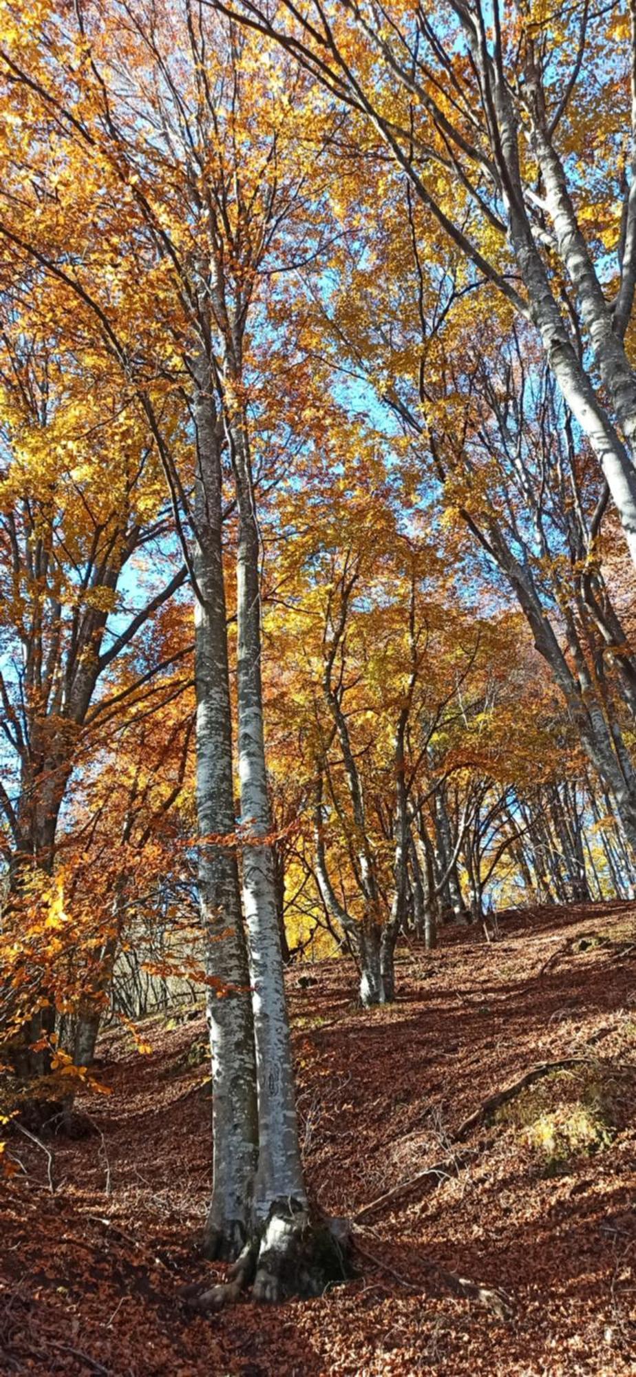 Ortighera Monolocale Relax Sulla Ciclabile Lenna Exteriör bild