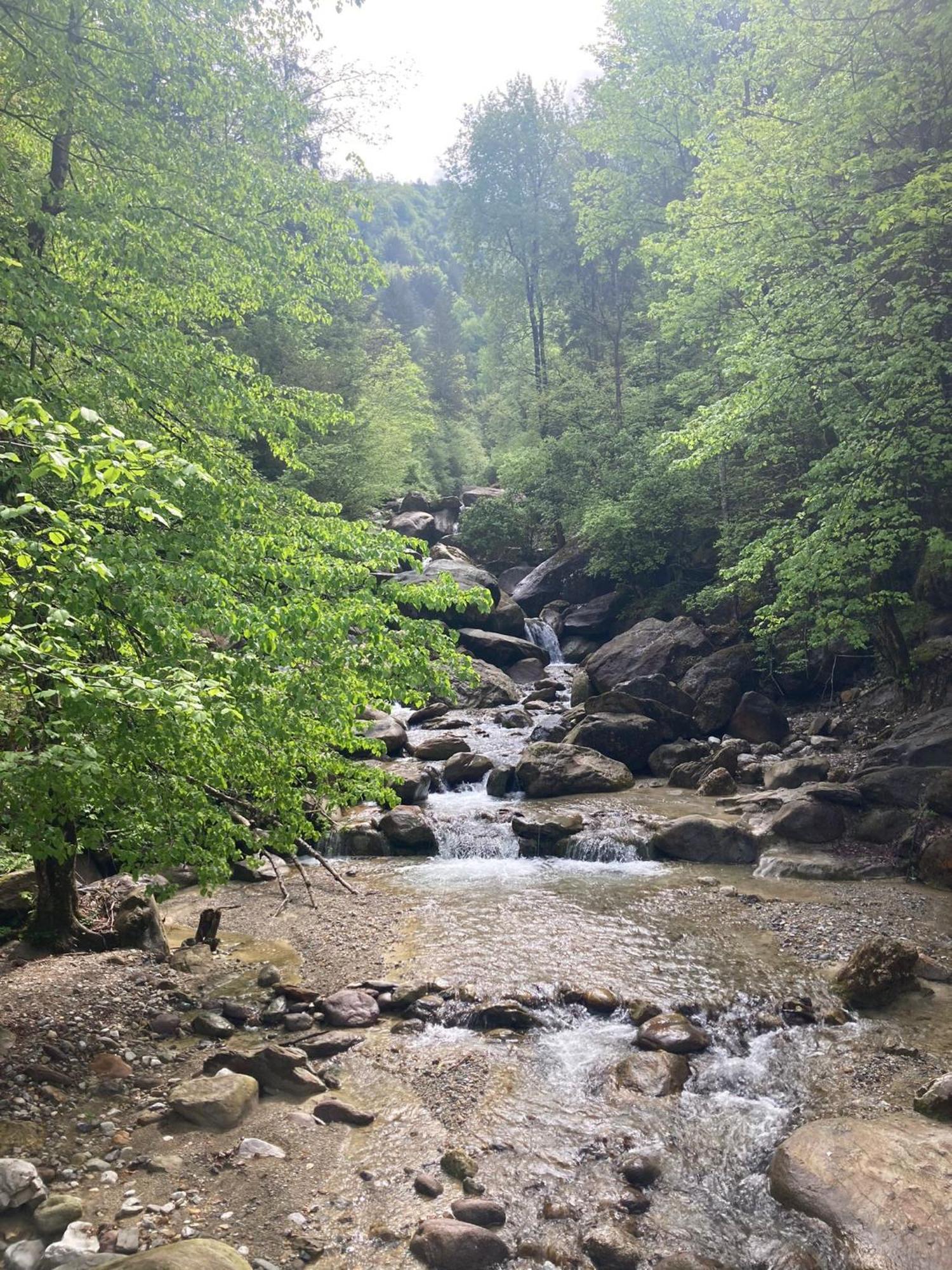 Ortighera Monolocale Relax Sulla Ciclabile Lenna Exteriör bild