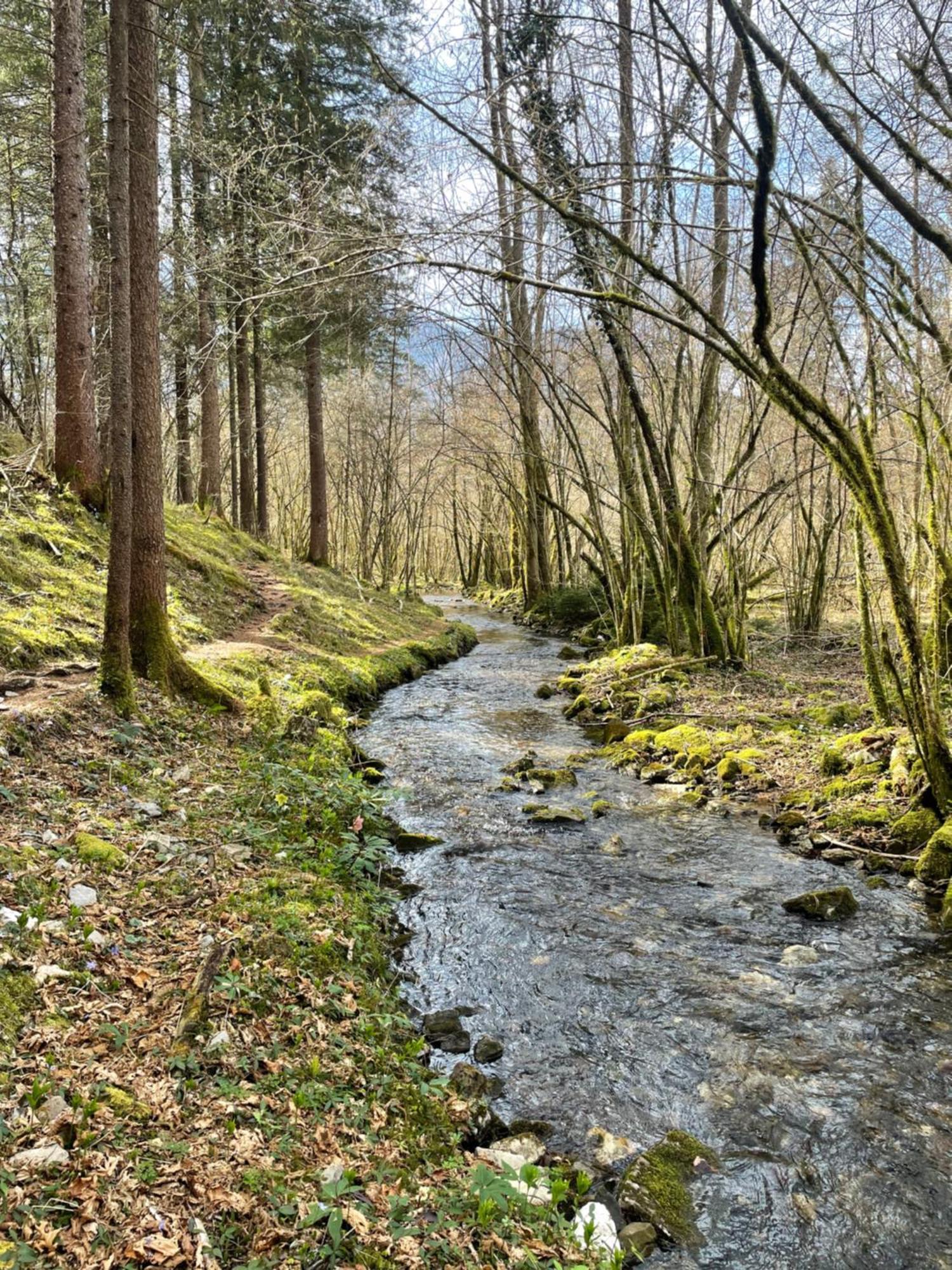 Ortighera Monolocale Relax Sulla Ciclabile Lenna Exteriör bild